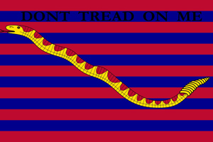 The South Carolina Navy flag