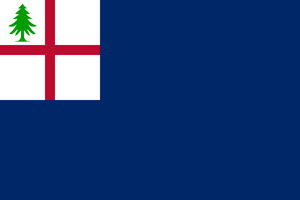 The Bunker Hill flag