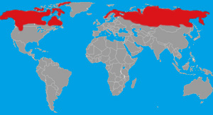 Range (in red) of the wolverine