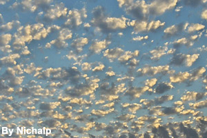 The tops and bottoms of altocumulus clouds <br>are different colors.