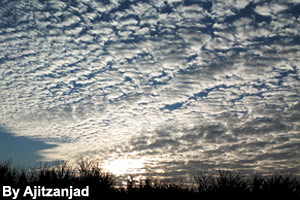 Some altocumulus clouds are flat.