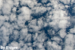 Altocumulus clouds are not rain clouds.