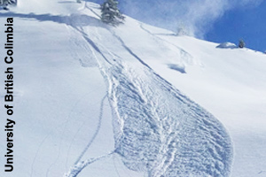 A loose or sluff avalanche