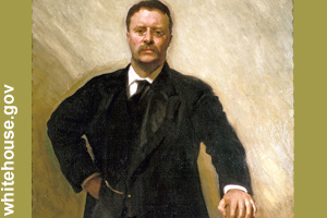 The official portrait of Theodore Roosevelt