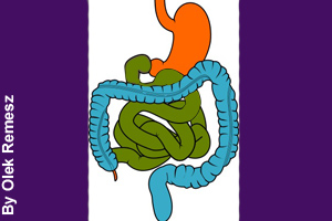 Parts of the digestive system