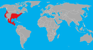Range (in red) of the opossum