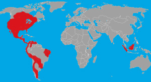 Range (in red) of the skunk