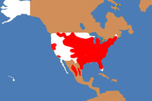 Habitat (in red) of the wild turkey