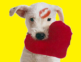 Valentine picture