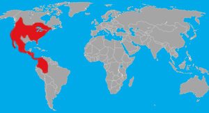 Range (in red) of the big brown bat