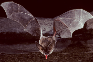 Getting a drink in flight