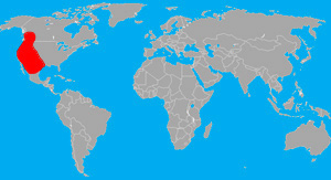 Range (in red) of the big-eared bat