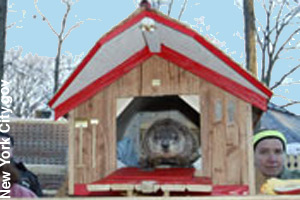 House for Punxsutawney Phil
