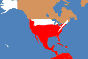 The habitat (in red) of the barn owl