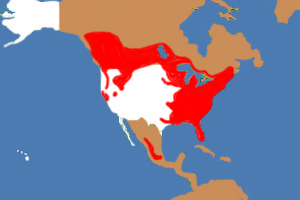 Habitat (in red) of the barred owl