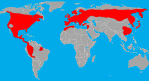 Habitat (in red) of the salamander