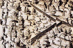 Drawing of an Algonquin deer hunt