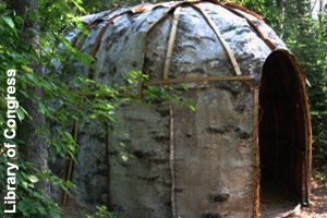 Algonquin wigwam made from a birch tree