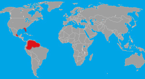 Range (in red) of a panther