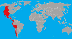 Range (in red) of the puma