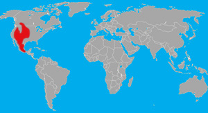 Range (in red) of the kangaroo rat