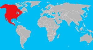 Range (in red) of the coyote