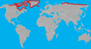 Range (in red) of the polar bear