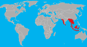 The range (in red) of the Asian elephant