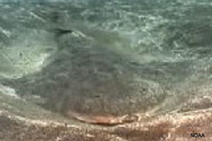 Covering up with sand