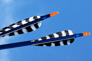 Some arrows are made with real feathers.