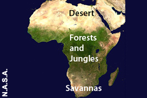Four main kinds of land