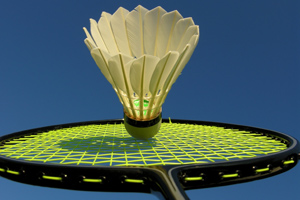 Badminton equipment