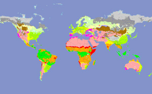 World map of biomes